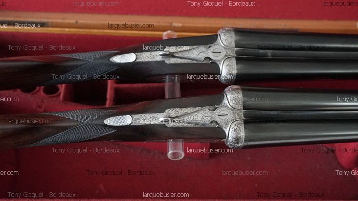 Paire de fusils de chasse juxtaposés en bois sombre, aux platines finement gravées de motifs floraux, dans un écrin de velours rouge.